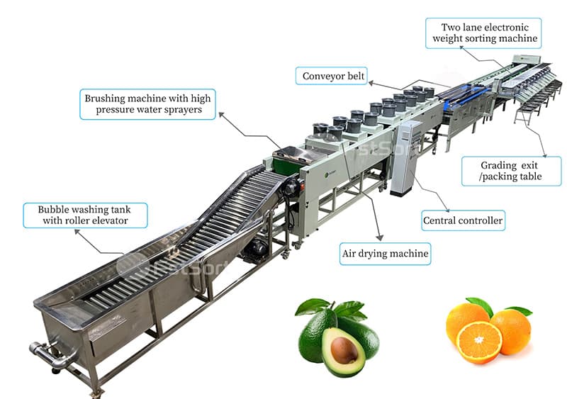 images/1662366824026avocado sorting machine.jpg